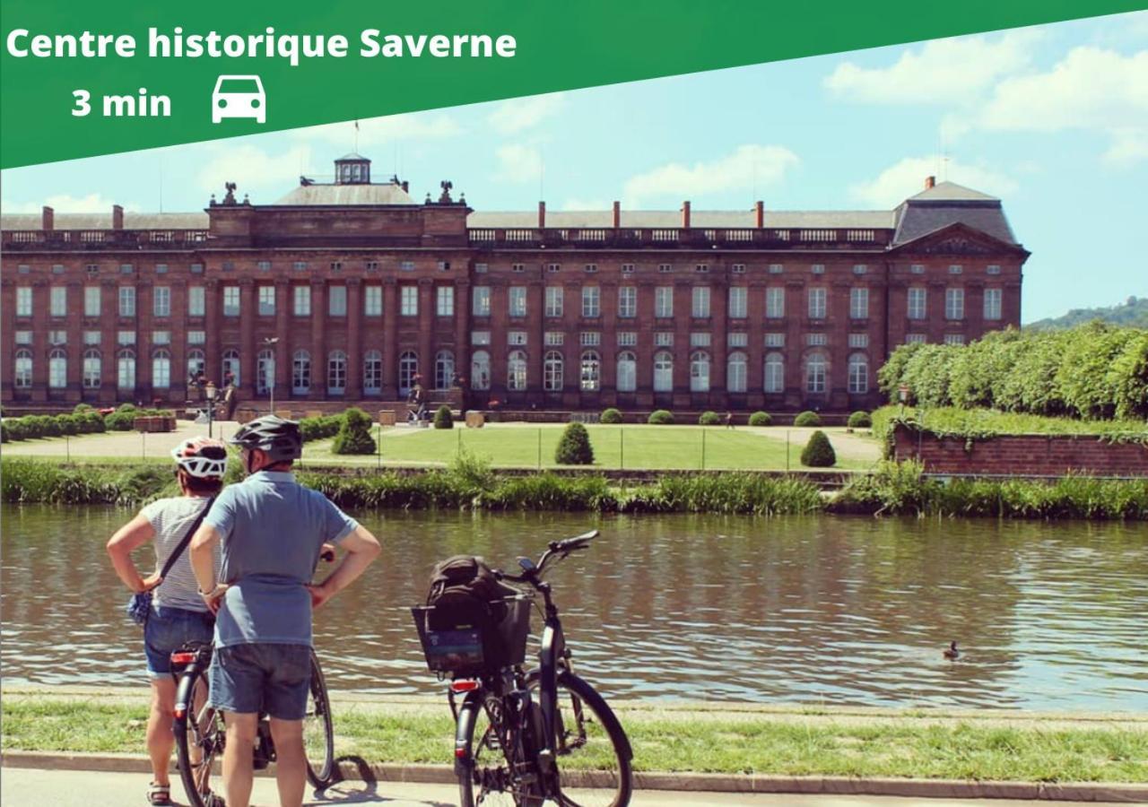 Auguste, La Romaine Et My Cesar - Location Saverne Zewnętrze zdjęcie