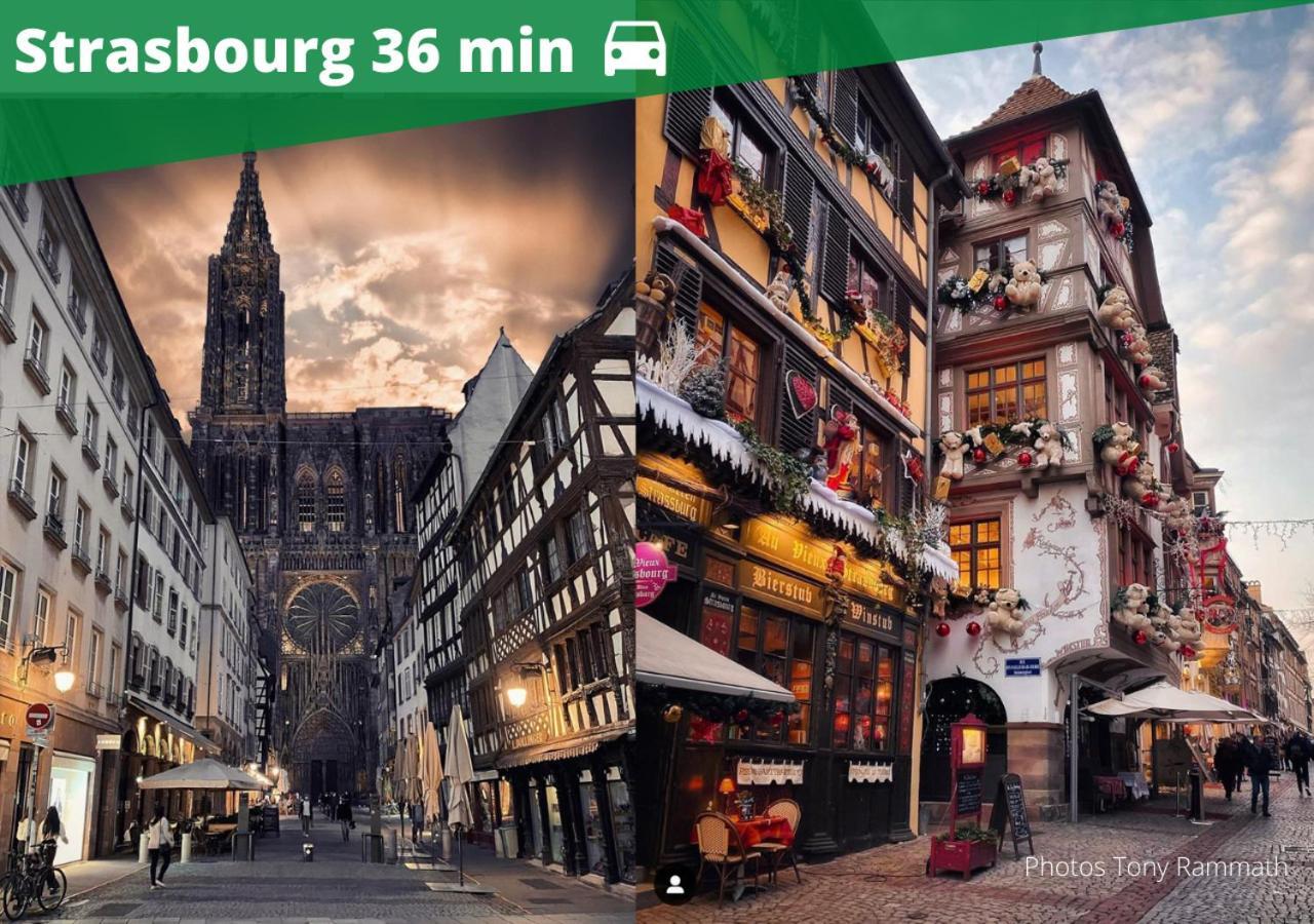Auguste, La Romaine Et My Cesar - Location Saverne Zewnętrze zdjęcie